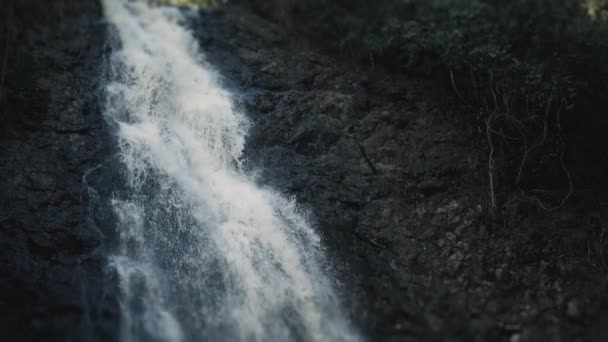 Cachoeira Cascada Montezuma Costa Rica — Vídeo de Stock
