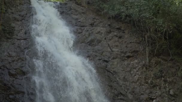 Vattenfall Cascada Montezuma Costa Rica — Stockvideo