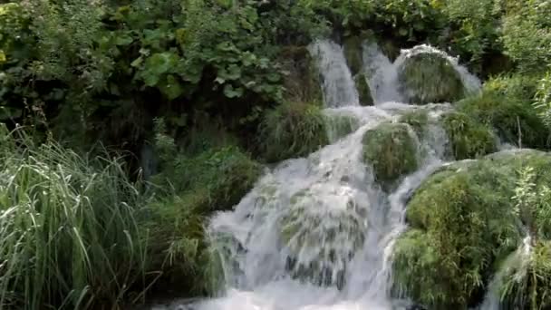 Plitvice Milli Parkı Hırvatistan Güzel Şelaleler — Stok video