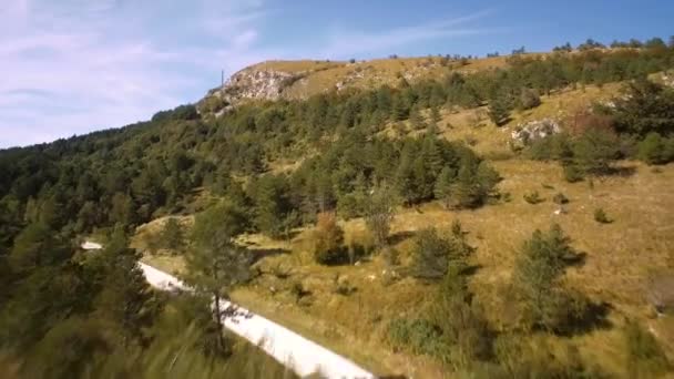 Veduta Aerea Drone Dei Paesaggi Istriani Croazia — Video Stock