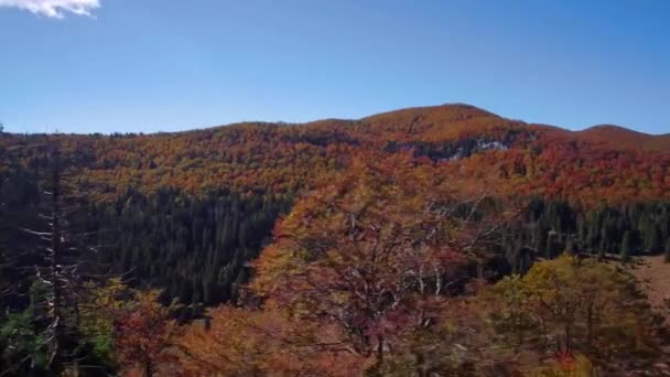 Вид Воздуха Прекрасный Осенний Пейзаж Велебита Хорватия — стоковое видео