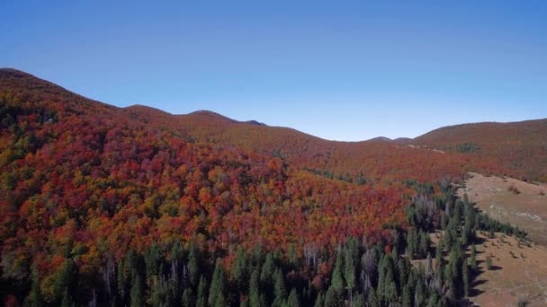 Aerial Drone View Beautiful Autumn Landscape Velebit Chorwacja — Wideo stockowe