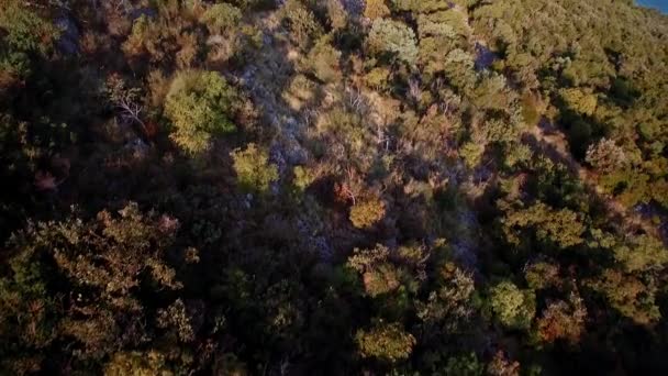 クロアチアのクレミックヒルの空中ドローンビュー — ストック動画