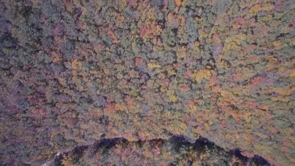 Aerial Beautiful Autumn Colors Velebit Κροατία — Αρχείο Βίντεο