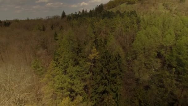Hava Bavyera Peyzajları Almanya Yerel Görüntüler — Stok video