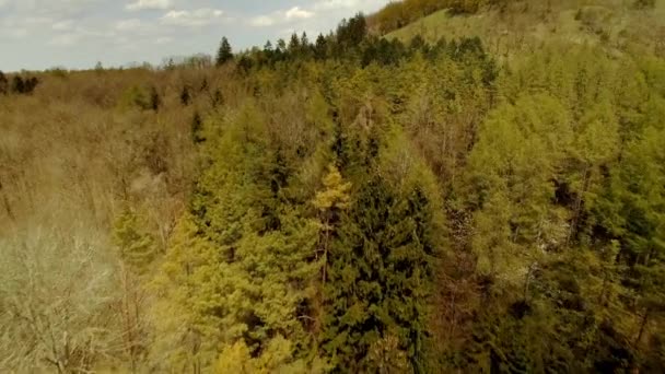 Luftaufnahmen Bayerische Landschaften Deutschland Native Footage — Stockvideo