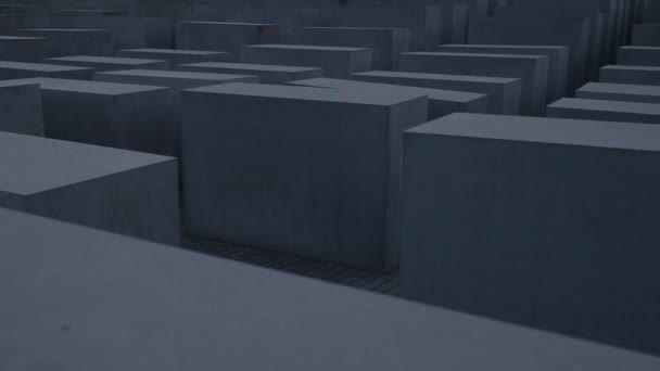 Пов Застрелили Перед Кам Яними Блоками Меморіалі Вбитих Євреїв Європи — стокове відео