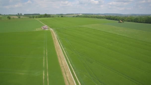 Aerial Flight German Farmland South Germany — Stock Video
