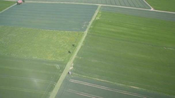 Antenn Flyg Över Tyska Jordbruksmark Södra Tyskland — Stockvideo
