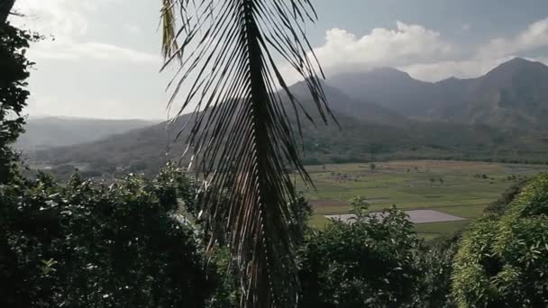 Bellissima Vista Paesaggio Kauai Hawaii — Video Stock