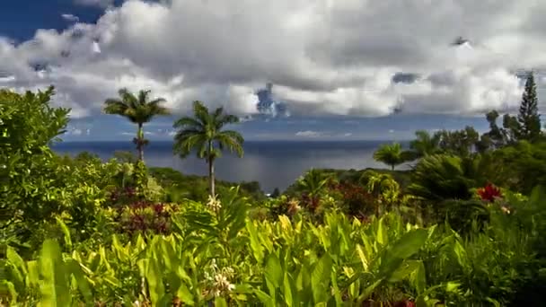 Garden Eden Timelapse Maui Hawaii Estados Unidos — Vídeos de Stock