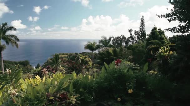 Garten Eden Maui Hawaii Usa — Stockvideo