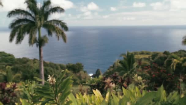 Garden Eden Maui Hawaii Amerikai Egyesült Államok — Stock videók