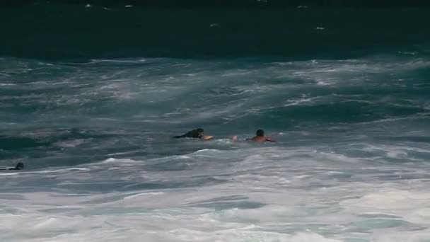Bodyboarding Keokea Bay Maui Havaí — Vídeo de Stock