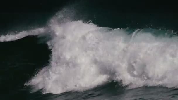 Riesige Wellen Auf Hawaii — Stockvideo