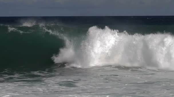 Τεράστια Κύματα Στη Χαβάη — Αρχείο Βίντεο