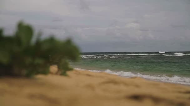 Прекрасный Вид Пляж Гавайи — стоковое видео