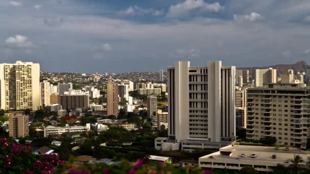 Honolulu Havaí Bela Vista Cidade — Vídeo de Stock