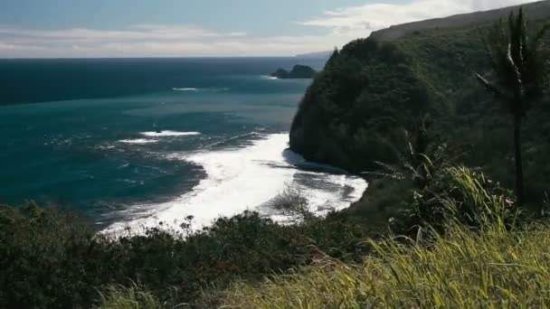 Belle Vue Sur Plage Hawaï — Video