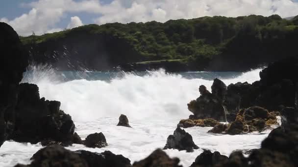 Schöne Aussicht Auf Beach Hawaii — Stockvideo