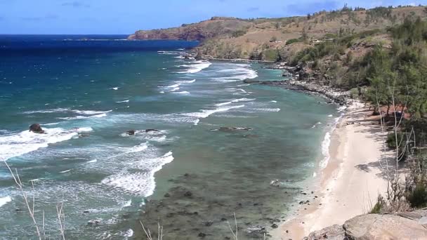 Hermosa Vista Playa Hawaii — Vídeos de Stock