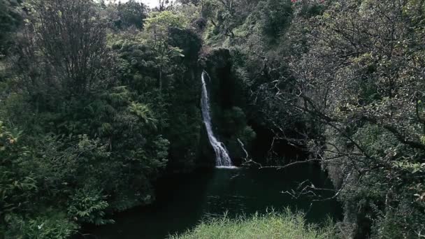 Vue Fascinante Sur Cascade Nature Contexte Voyage — Video