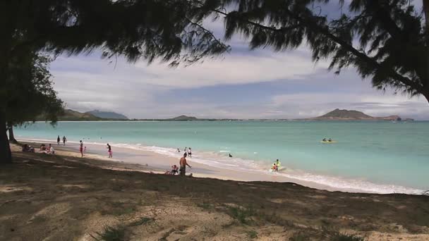 Zatłoczone Kailua Beach Hawaje Widok Dzień — Wideo stockowe
