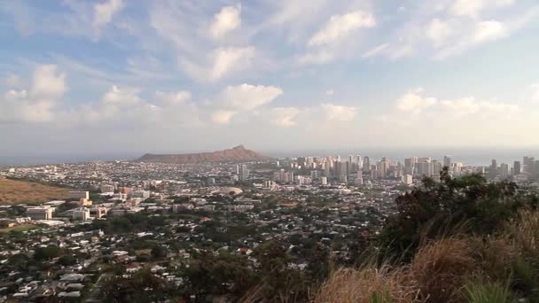 ホノルル ハワイの美しい都市の景色 — ストック動画