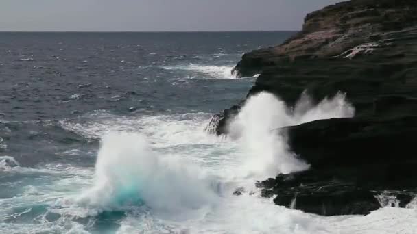 Linia Brzegowa Linia Brzegowa Hawaje Dużymi Falami — Wideo stockowe