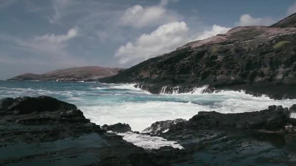 Pobřežní Čára Pobřežní Čára Havaj Velkými Vlnami — Stock video