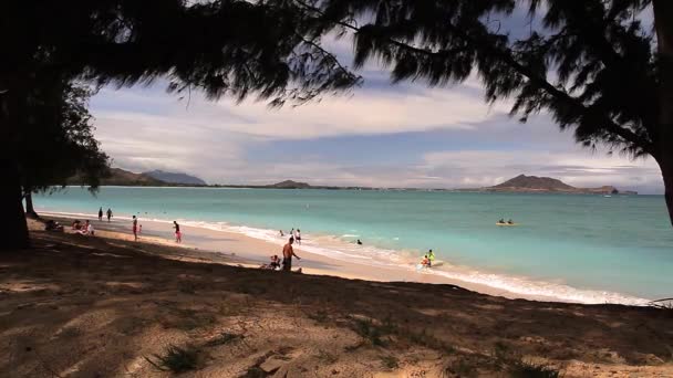 Kalabalık Kailua Sahili Hawaii Gündüz Manzaralı — Stok video