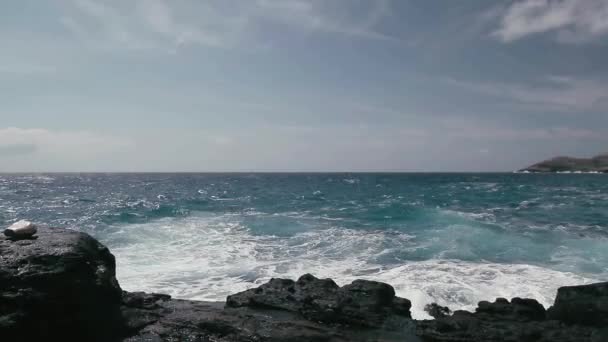 Shore Line Coast Line Hawaï Avec Grandes Vagues — Video