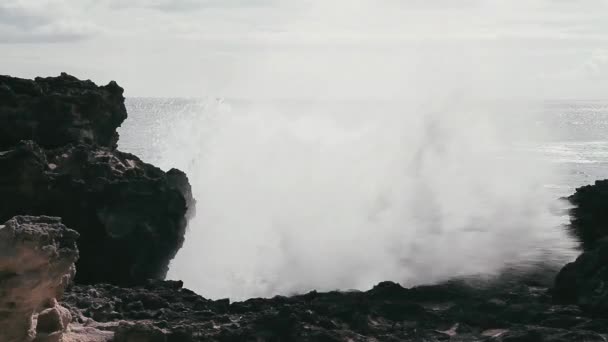 Shore Line Kustlinjen Hawaii Med Stora Vågor — Stockvideo