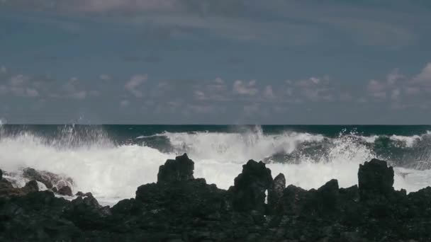 海岸線 コーストライン ハワイと大きな波 — ストック動画