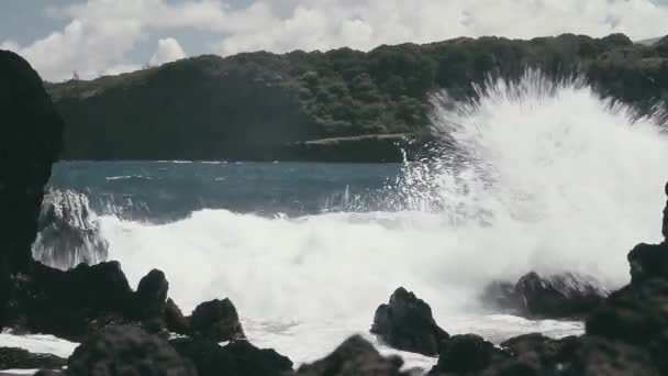 Shore Line Coast Line Hawaii Nagy Hullámokkal — Stock videók