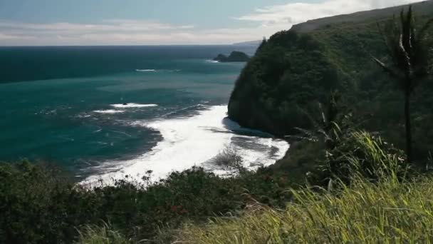 夏威夷Akoni Pule海滩 — 图库视频影像