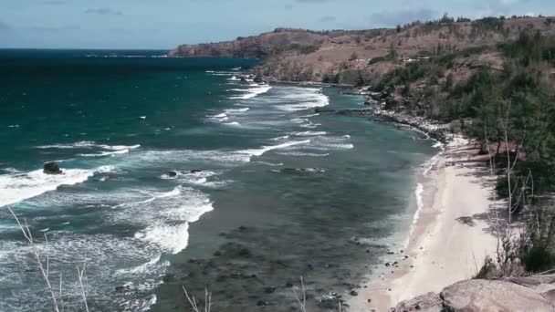 Strand Der Honokohau Bay Hawaii — Stockvideo