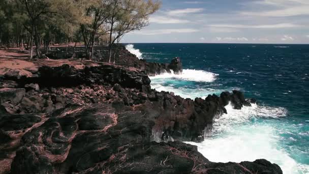 Hawaii Deki Mackenzie Eyalet Parkı Nda Plaj — Stok video