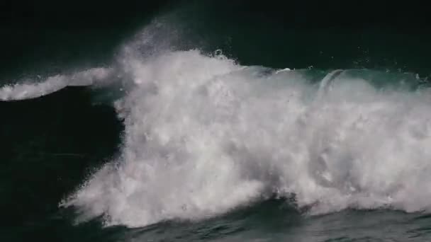 Riesige Wellen Auf Hawaii — Stockvideo