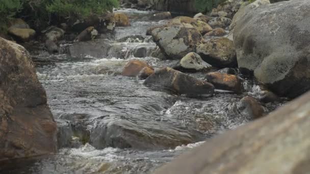 Strömma Vid Poison Glen Bridge Devlin River Grevskapet Donegal Irland — Stockvideo
