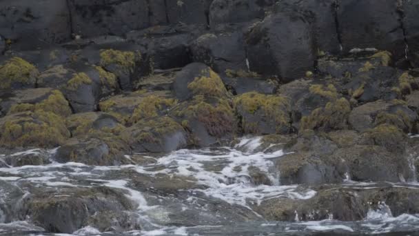 Water Splashing Basalt Stones Giant Causeway Northern Ireland Slow Motion — Stock Video