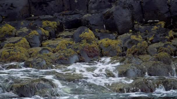 Spruzzi Acqua Sulle Pietre Basalto Giant Causeway Irlanda Del Nord — Video Stock