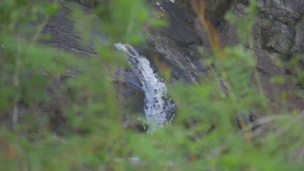 Waterfall Black Valley Country Kerry Ireland — Vídeo de stock