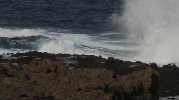 Beautiful View Sea Waves Breaking Rocky Cliffs Slow Motion — Stock Video
