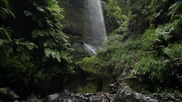 Cascada Los Tilos Водопад Пальма Канарские Острова — стоковое видео