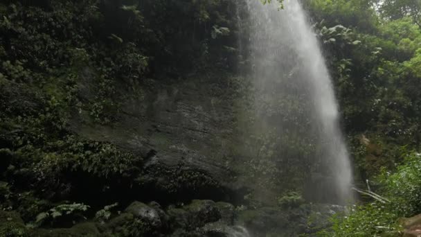Cascada Los Tilos Cachoeira Palma Canárias — Vídeo de Stock