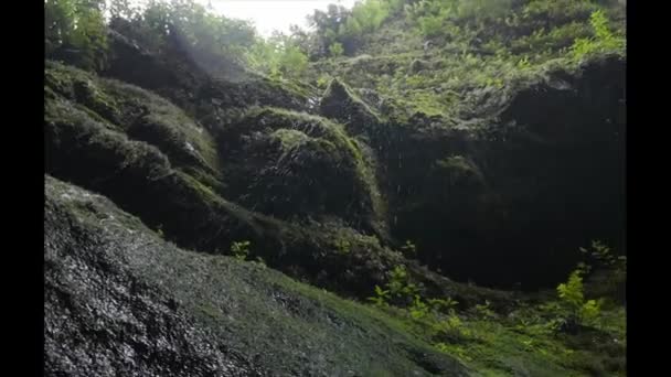 Cascada Los Τηλοσ Καταρράκτη Στο Palma Καναρίνια — Αρχείο Βίντεο