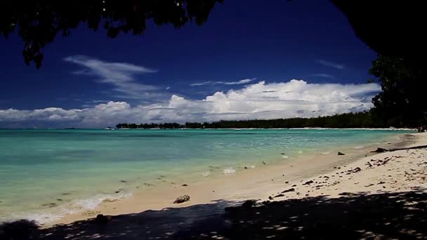 Bela Vista Praia Trous Aux Biches Maurício — Vídeo de Stock