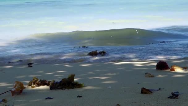 Bela Vista Praia Trous Aux Biches Maurício — Vídeo de Stock