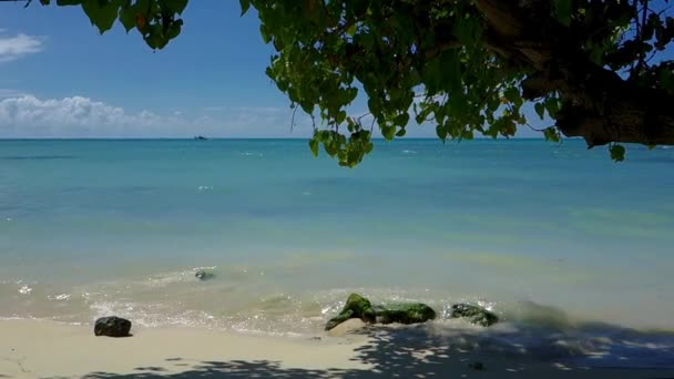 Gyönyörű Kilátás Nyílik Strandra Trous Aux Biches Mauritius — Stock videók